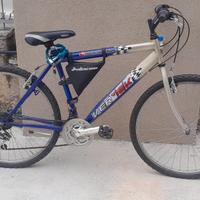 MTB da 26 pollici della Vertek