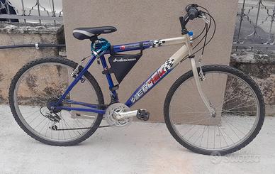 MTB da 26 pollici della Vertek
