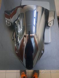 Cupolino bmw s1000 rr