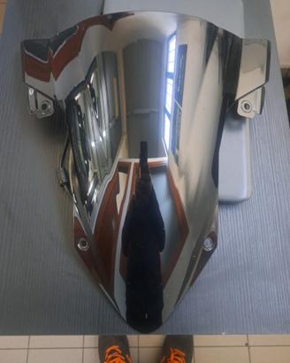 Cupolino bmw s1000 rr