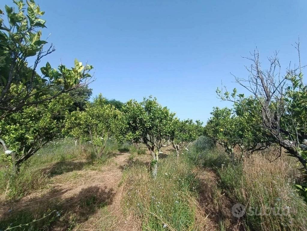Immobile in asta di 27870 m² a Polistena - Vista 5