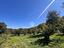 Immagine 12