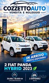 Fiat Panda 1.0 FireFly S&S Hybrid