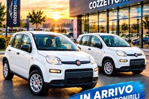 Fiat Panda 1.0 FireFly S&S Hybrid
