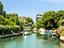 Immagine 8