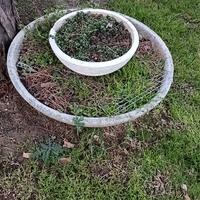 cocciole da composizione  arredo giardino 