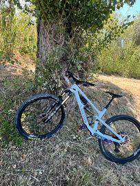 Canyon spectral cf9