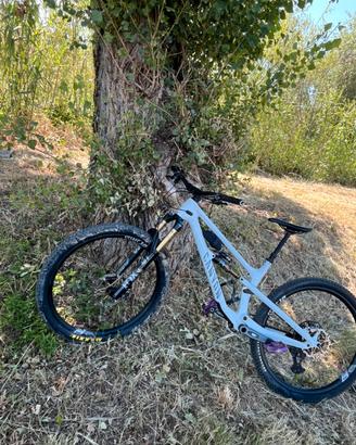 Canyon spectral cf9