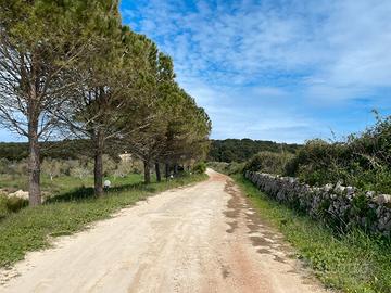 Appartamento in villa da ottobre a marzo