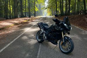 triumph tiger 1050 anno 2012