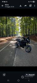 triumph tiger 1050 anno 2012