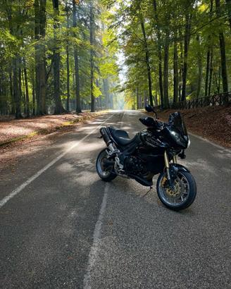 triumph tiger 1050 anno 2012