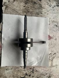 albero athena spalle piene