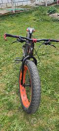 fat bike 