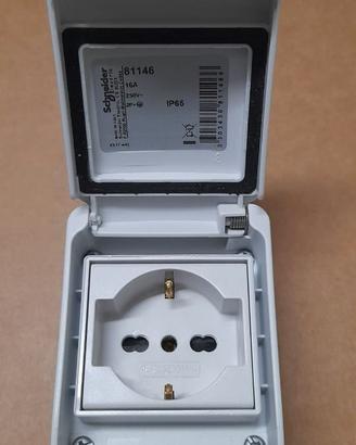 Presa da quadro Schneider 81146