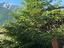 Immagine 11