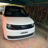 Auto ligier