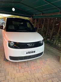 Auto ligier