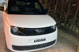 Auto ligier