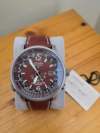 citizen radiocontrollato 