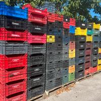 Cassette e Binz per frutta usate