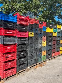 Cassette e Binz per frutta usate