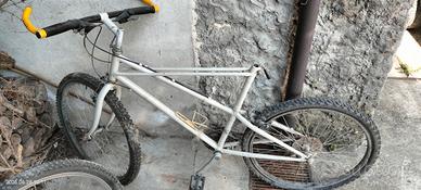 Mountain Bike Bianchi
