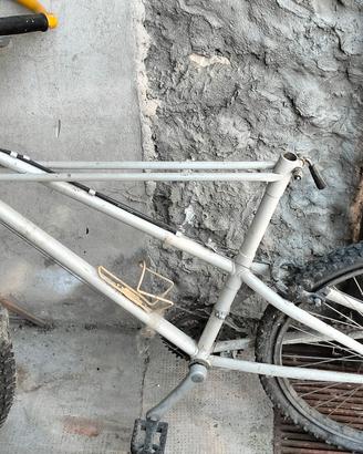 Mountain Bike Bianchi