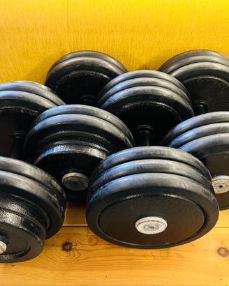 Manubri 12, 24, 26, 28, 30 kg con rastrelliera
