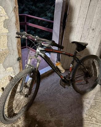 Bicicletta