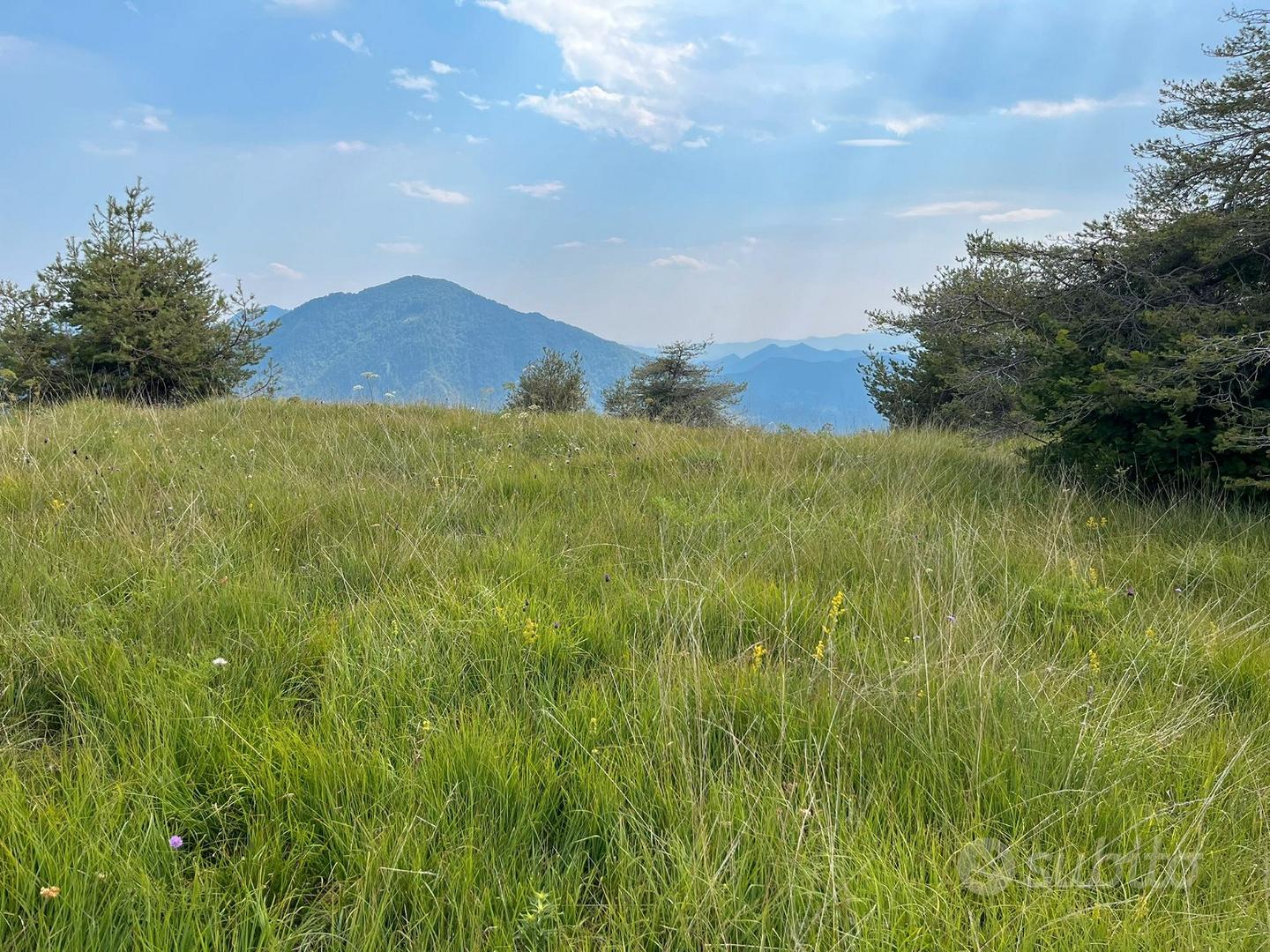 Terreno agricolo - Vista 3