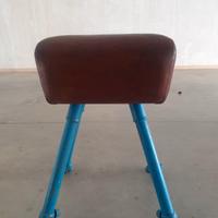 CAVALLINA PALESTRA ANNI 70