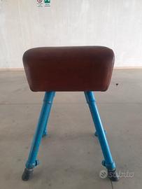 CAVALLINA PALESTRA ANNI 70