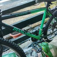 Mountain bike bianchi 