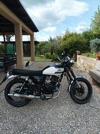 Mash Seventy Five 125