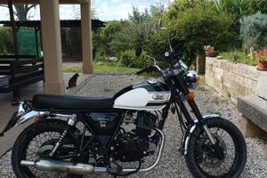 Mash Seventy Five 125