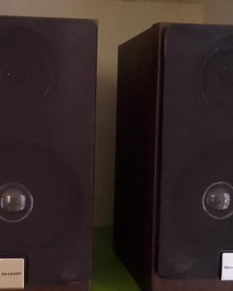 casse stereo legno due vie