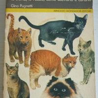 Guida al gatto, la storia, le razze - vintage 1978