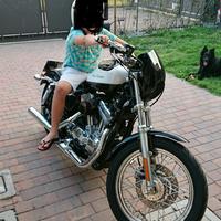 Harley-Davidson Sportster 883 - 2005