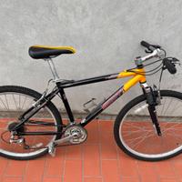 Mountain bike vintage