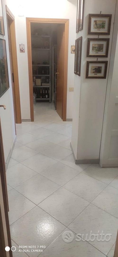 Appartamento Luminoso e Ben Distribuito - Vista 2
