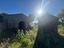 Immagine 14