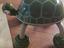Immagine 2