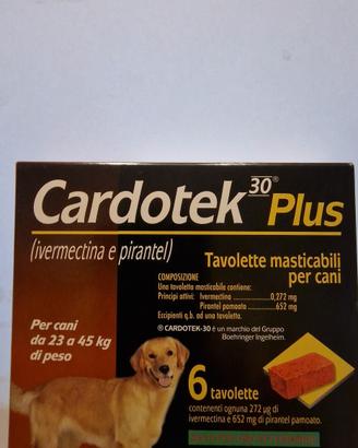 CARDOTEK30PLUS