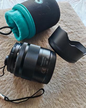  Zoom Panasonic Lumix G Vario 35-100 f4-5,6 mic4/3