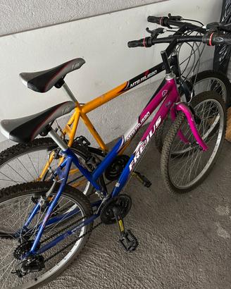 Coppia biciclette