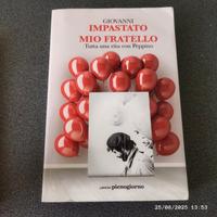 Peppino impastato mio fratello 