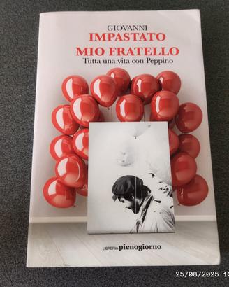 Peppino impastato mio fratello 