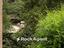Immagine 12