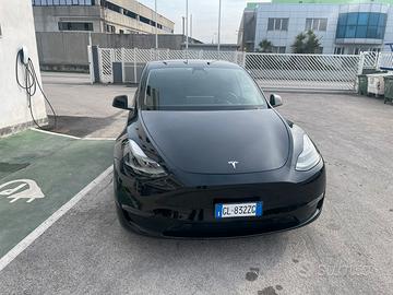 Tesla Y Performance